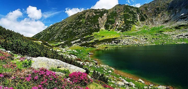 https://cdn1.pokupon.ua/uploaded/new_campaign_pictures/253435/data/main720x340/3.jpg?1487760187