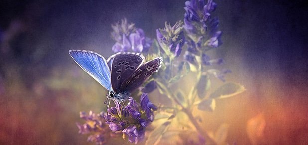 https://cdn1.pokupon.ua/uploaded/new_campaign_pictures/25467/data/main620x292/big_2.jpg?1396273588