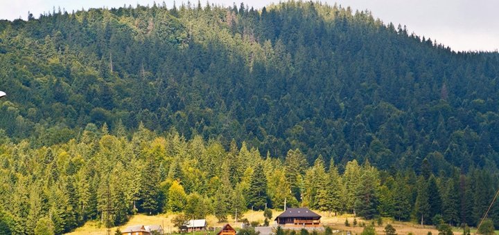 https://cdn1.pokupon.ua/uploaded/new_campaign_pictures/258841/data/main720x340/57894440.jpg?1488361659