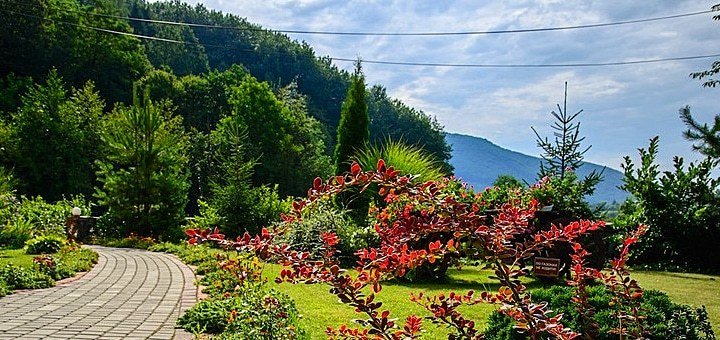 https://cdn1.pokupon.ua/uploaded/new_campaign_pictures/259210/data/main720x340/6.jpg?1488450674
