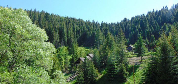 https://cdn1.pokupon.ua/uploaded/new_campaign_pictures/262140/data/main720x340/10.jpg?1488807569