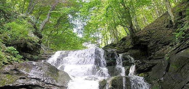 https://cdn1.pokupon.ua/uploaded/new_campaign_pictures/262235/data/main620x292/1.jpg?1488871895
