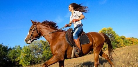 «Анакия»: konyushnya-anakiya.com