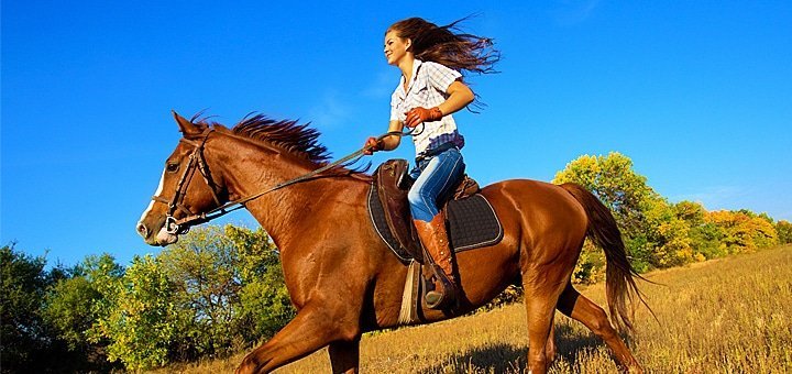 https://cdn1.pokupon.ua/uploaded/new_campaign_pictures/26951/data/main720x340/horses_wapka1.jpg?1400065807