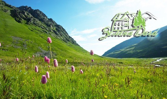 https://cdn1.pokupon.ua/uploaded/new_campaign_pictures/284510/data/main720x340/cccccc.jpg_49.jpg?1488906091