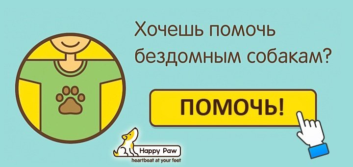 https://cdn1.pokupon.ua/uploaded/new_campaign_pictures/29123/data/main720x340/happypaw-7.jpg?1404732824