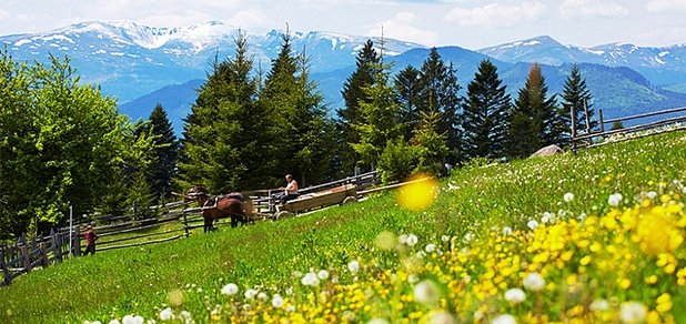 https://cdn1.pokupon.ua/uploaded/new_campaign_pictures/29749/data/main620x292/radisson-7.jpg?1406275638