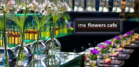 Посещение сети ITIS Flowers Café -50%