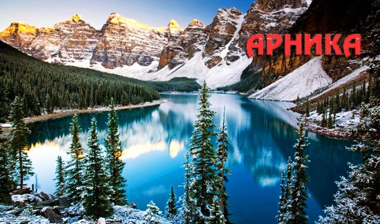 https://cdn1.pokupon.ua/uploaded/new_campaign_pictures/307513/data/main720x340/arn111.jpg?1488935937