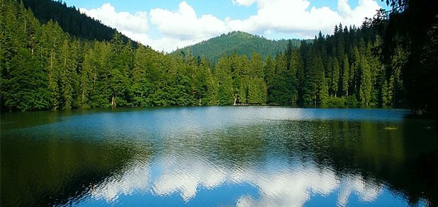 https://cdn1.pokupon.ua/uploaded/new_campaign_pictures/31591/data/main620x292/arnika-1.jpg?1410784940
