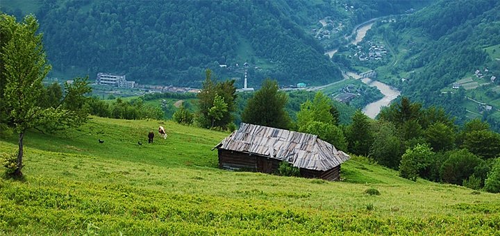 https://cdn1.pokupon.ua/uploaded/new_campaign_pictures/31903/data/main720x340/smereka-11.jpg?1411387456