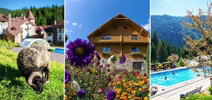 https://cdn1.pokupon.ua/uploaded/new_campaign_pictures/33024/data/main720x340/1000.jpg?1413792927