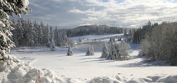 https://cdn1.pokupon.ua/uploaded/new_campaign_pictures/34931/data/main620x292/%D0%B1%D0%B8%D0%B3_2.jpg?1416993974