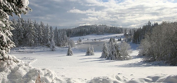 https://cdn1.pokupon.ua/uploaded/new_campaign_pictures/34931/data/main720x340/%D0%B1%D0%B8%D0%B3_2.jpg?1416993974