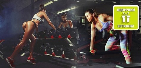Абонемент в сети спорт-клубов «Викинг» -75%