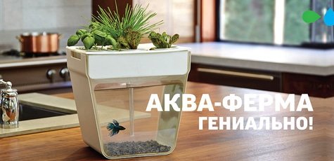 Аквафермы от компании «aquafarms.com.ua» -30%!