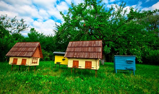 https://cdn1.pokupon.ua/uploaded/new_campaign_pictures/381066/data/main720x340/hhhhhhh.jpg_7.jpg?1489086070