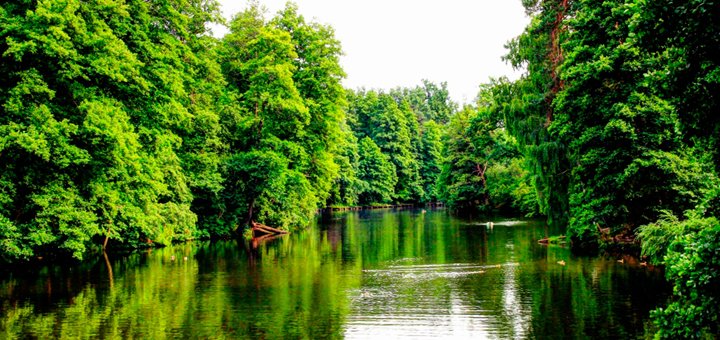 https://cdn1.pokupon.ua/uploaded/new_campaign_pictures/393717/data/main720x340/banner2.jpg?1489397366