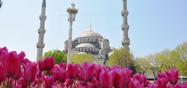 https://cdn1.pokupon.ua/uploaded/new_campaign_pictures/397461/data/main620x292/istanbul_tulip_festival_2016_6.jpg?1490947244
