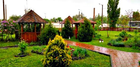 Скидка 25% от суммы в чеке в кафе «Форсаж»