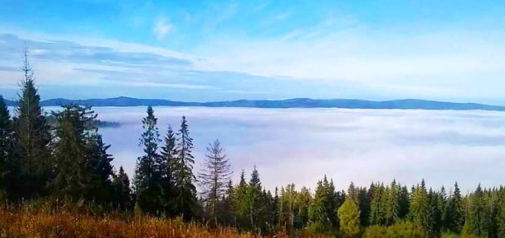 https://cdn1.pokupon.ua/uploaded/new_campaign_pictures/401916/data/main720x340/720x1.jpg?1492158368