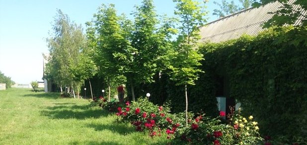 https://cdn1.pokupon.ua/uploaded/new_campaign_pictures/403874/data/main620x292/2.jpg?1493126756