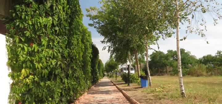 https://cdn1.pokupon.ua/uploaded/new_campaign_pictures/403876/data/main720x340/520x1_zpspuyuq4gt.jpg?1493126757
