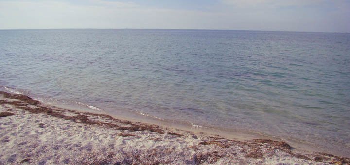https://cdn1.pokupon.ua/uploaded/new_campaign_pictures/404059/data/main720x340/720x8.jpg?1493202669