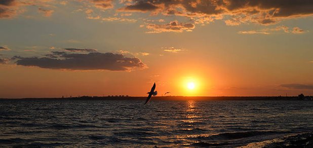 https://cdn1.pokupon.ua/uploaded/new_campaign_pictures/408184/data/main620x292/720x12.jpg?1495785239