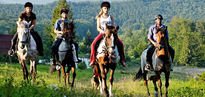 https://cdn1.pokupon.ua/uploaded/new_campaign_pictures/409922/data/main720x340/konnie_progylki.jpg?1496836049