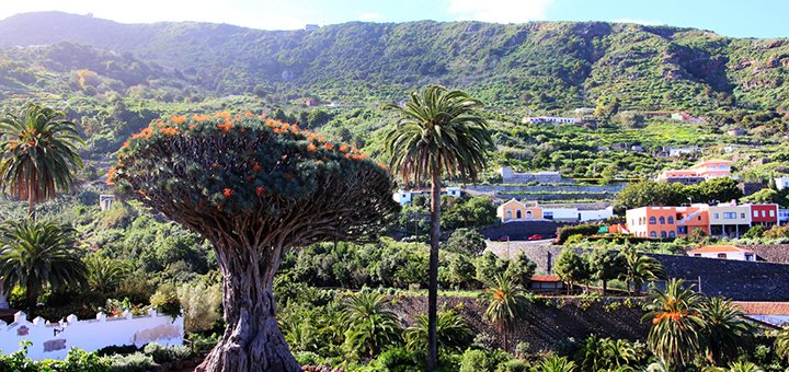 https://cdn1.pokupon.ua/uploaded/new_campaign_pictures/412481/data/main720x340/0290-Tenerife.JPG?1498133885