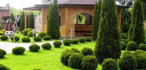 Курс по ландшафтному дизайну от Института дизайна