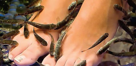 Массаж рыбками для одного или двоих в «Fish Spa»