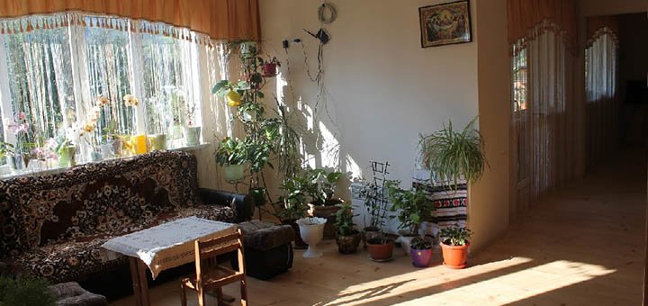 https://cdn1.pokupon.ua/uploaded/new_campaign_pictures/417086/data/main720x340/720x7.jpg?1500990555