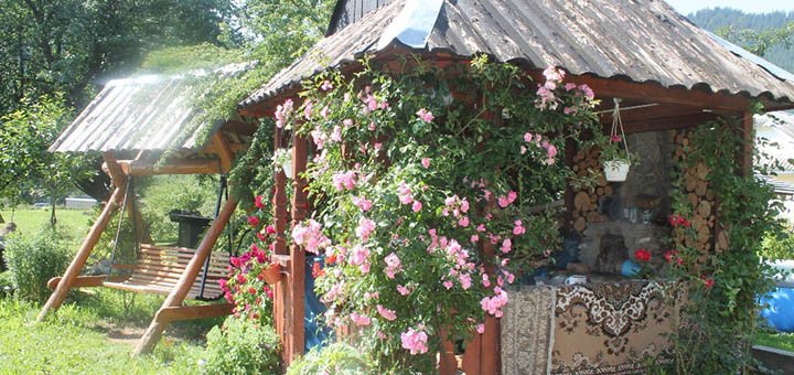 https://cdn1.pokupon.ua/uploaded/new_campaign_pictures/417088/data/main720x340/720x9.jpg?1500990557