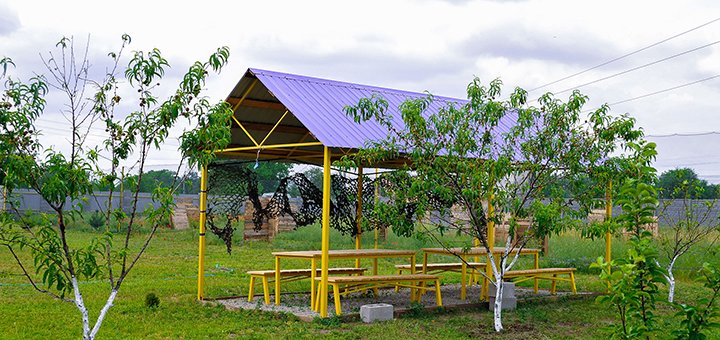 https://cdn1.pokupon.ua/uploaded/new_campaign_pictures/417236/data/main720x340/dsc_0215.jpg?1501073141