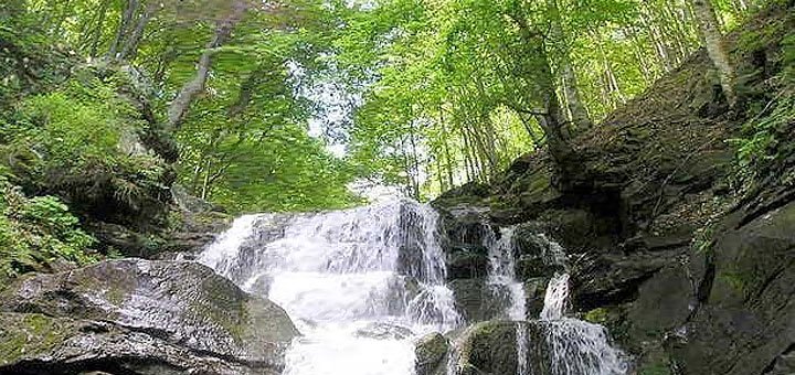 https://cdn1.pokupon.ua/uploaded/new_campaign_pictures/421836/data/main720x340/1.jpg?1503044625