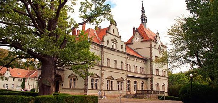 https://cdn1.pokupon.ua/uploaded/new_campaign_pictures/421838/data/main720x340/3.jpg?1503044627
