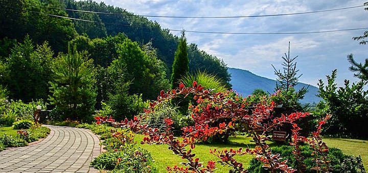 https://cdn1.pokupon.ua/uploaded/new_campaign_pictures/426204/data/main720x340/6.jpg?1505891826