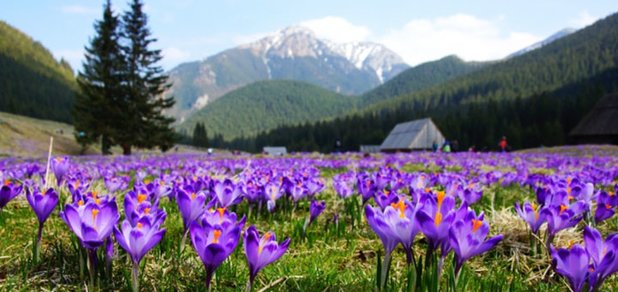 https://cdn1.pokupon.ua/uploaded/new_campaign_pictures/426405/data/main620x292/%D0%AF%D0%BB%D1%8B%D0%BD%D0%BA%D0%B0_%D0%B4%D0%BE6.jpg?1505920164
