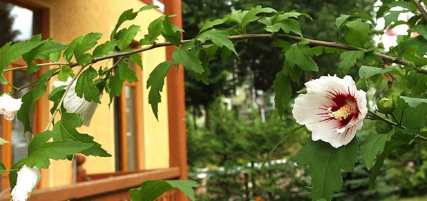 https://cdn1.pokupon.ua/uploaded/new_campaign_pictures/426982/data/main620x292/720x4.jpg?1506343975