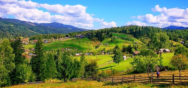 https://cdn1.pokupon.ua/uploaded/new_campaign_pictures/428087/data/main620x292/dikiymed-large1.jpg?1506933576