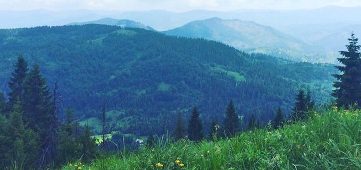 https://cdn1.pokupon.ua/uploaded/new_campaign_pictures/428711/data/main720x340/6384123.jpg?1507113246