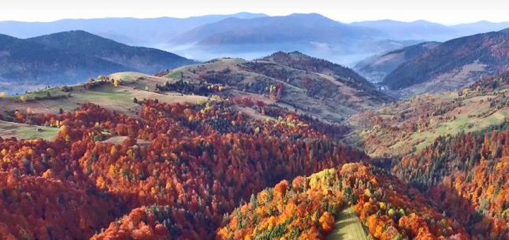 https://cdn1.pokupon.ua/uploaded/new_campaign_pictures/429273/data/main720x340/132381.jpg?1507285865