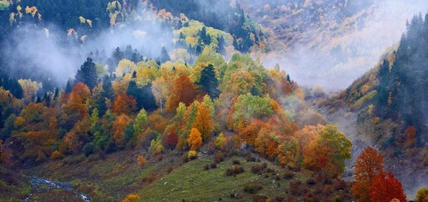 https://cdn1.pokupon.ua/uploaded/new_campaign_pictures/429276/data/main620x292/1477208605_14682203_1712501292404708_4943664262577581344_o_1.jpg?1507285867