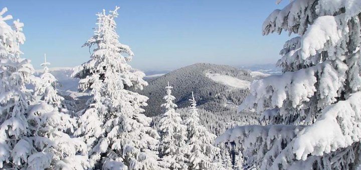 https://cdn1.pokupon.ua/uploaded/new_campaign_pictures/429547/data/main720x340/887468_76c85795.jpg?1507708586