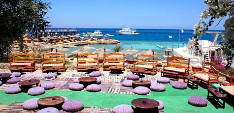 Лучшая цена на отдых в «King Tut Resort Hurghada» 