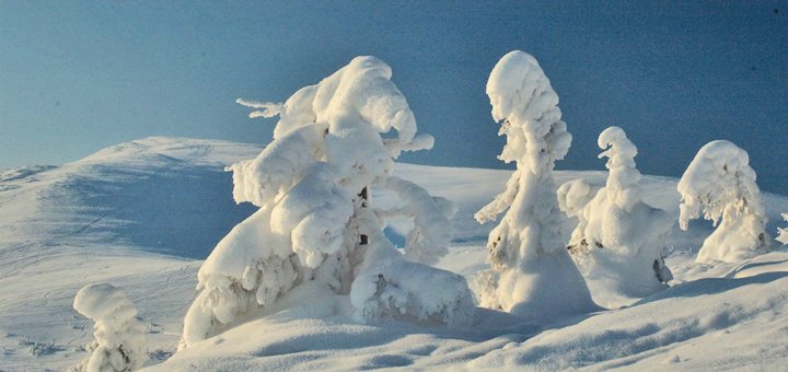 https://cdn1.pokupon.ua/uploaded/new_campaign_pictures/431912/data/main720x340/51.jpg?1509984425
