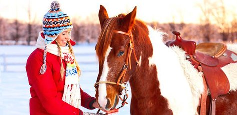 Прогулка на лошади в конном дворе «Верхом»
