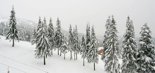 https://cdn1.pokupon.ua/uploaded/new_campaign_pictures/433754/data/main620x292/5.jpg?1509638004